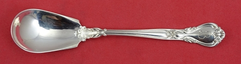 Condiment Serving Spoon rare 5